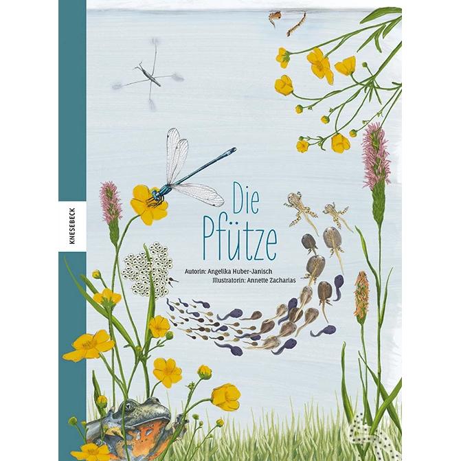 Die Pfütze, Kinderbücher von Angelika Huber-Janisch, Annette Zacharias