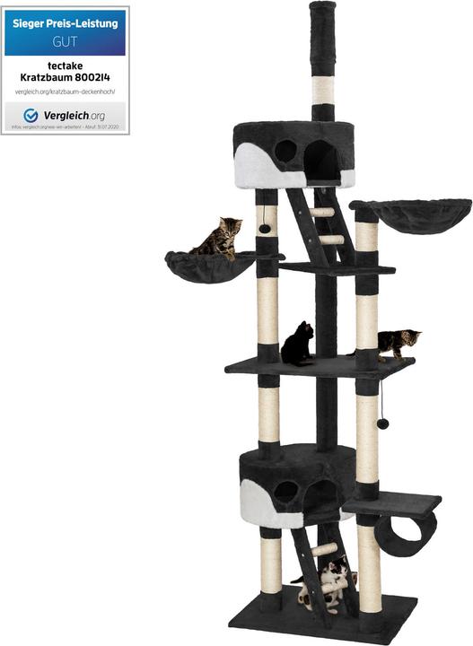 Image du produit tectake Arbre à chat Hansi (260 cm, Noir, Blanc)