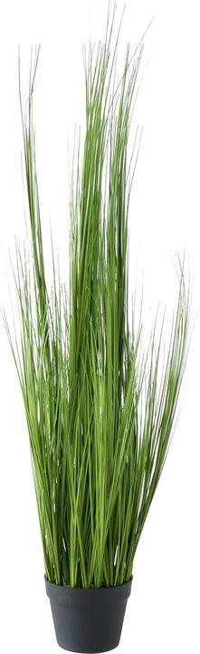 Immagine prodotto Boltze Home Topfpflanze (120 cm)