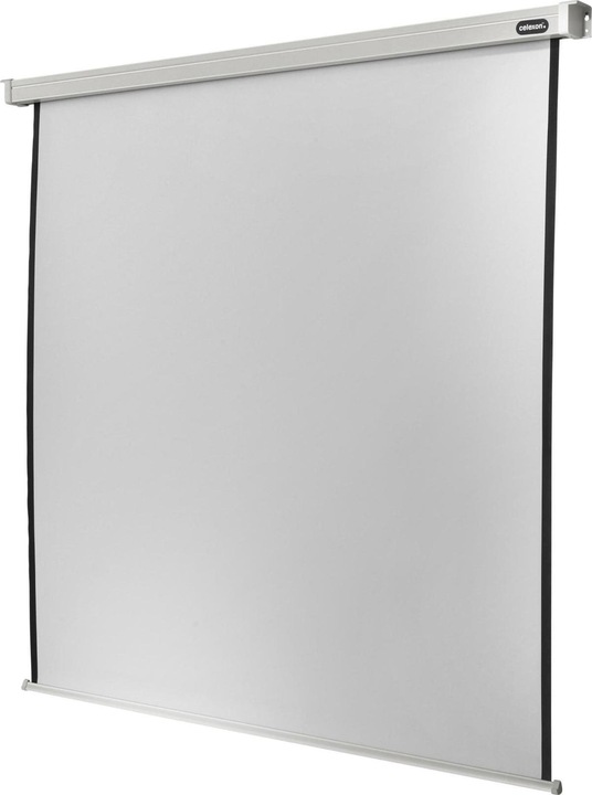 Image du produit Celexon Rollo Professional (122.44", 1:1)