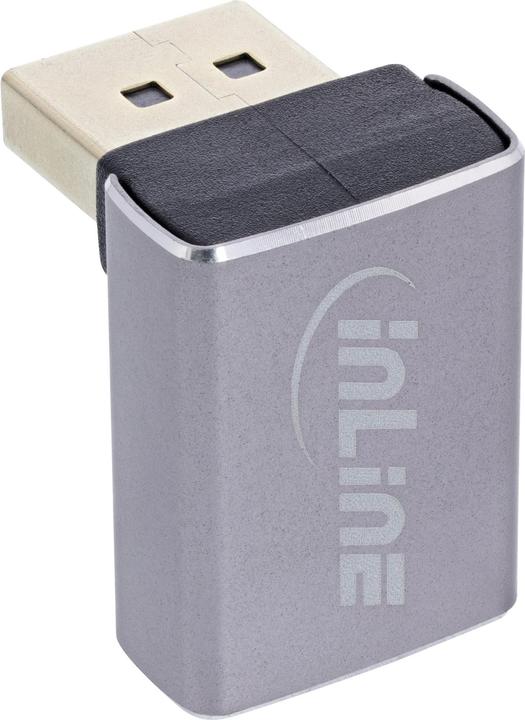 Image du produit InLine DisplayPort 1.4 Adapter (21 cm)