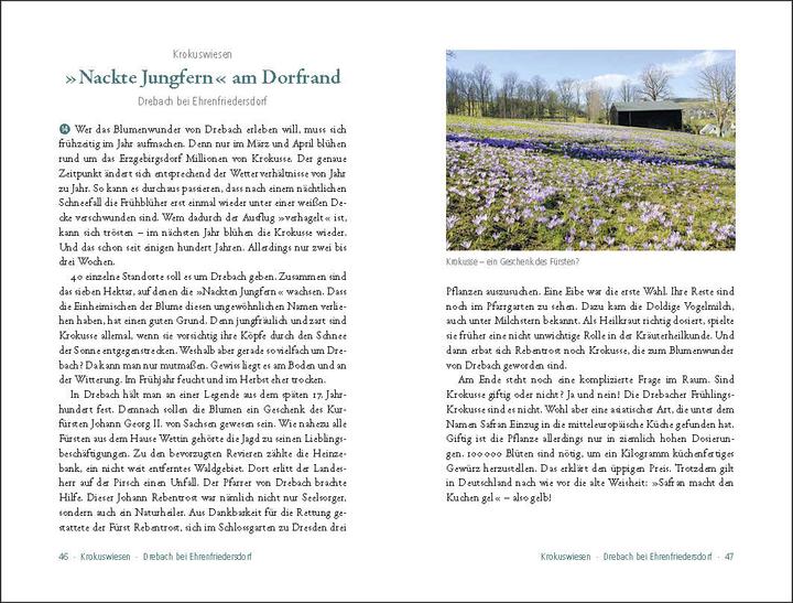 Produktbild 50 sagenhafte Naturdenkmale in Sachsen (Deutsch, Lars Franke, 2017)