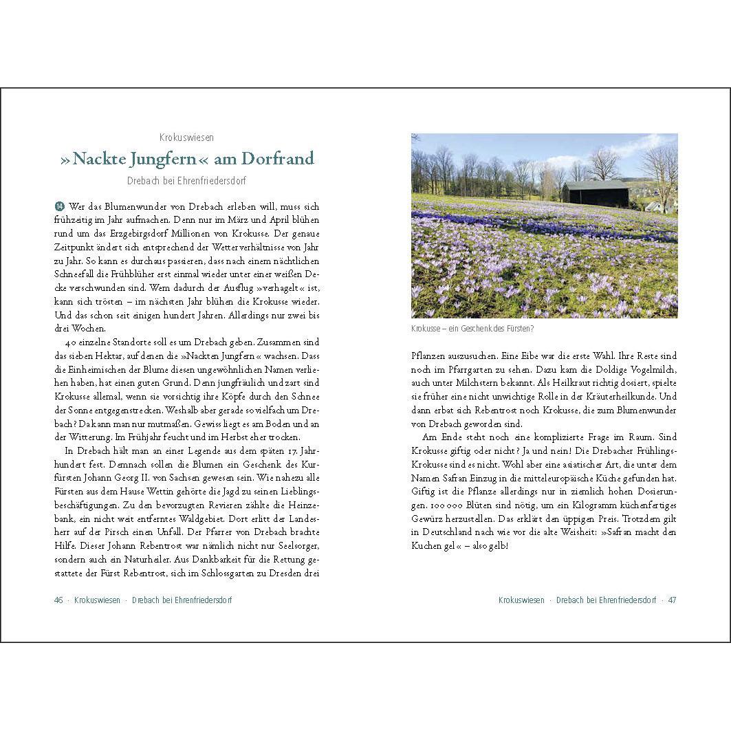 Thumbnail - 50 sagenhafte Naturdenkmale in Sachsen, Fachbücher von Lars Franke