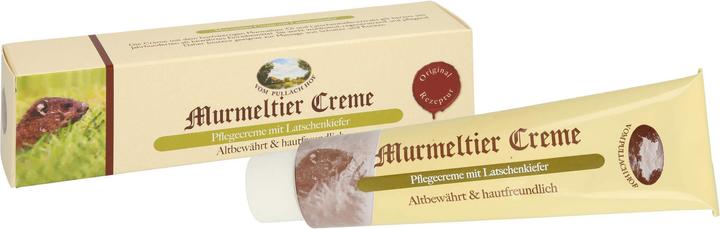Produktbild Axisis Murmeltier Creme mit Latschenkiefer, 100 ml Creme (Körpercreme, 100 ml)