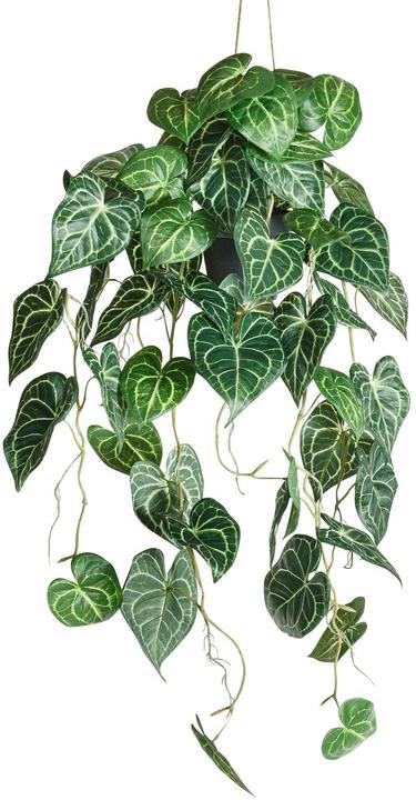 Botanic-Haus Anthurium (87 cm)