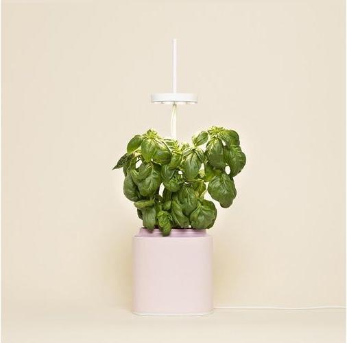 Produktbild Prêt à Pousser Kräutertopf Nano (13.50 cm)