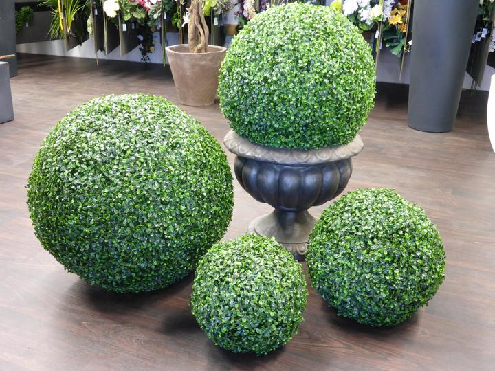 Produktbild Botanic-Haus Buchskugel (30 cm)