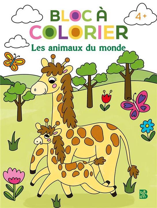 Image du produit Ballon Bloc à colorier : les animaux du monde (Français, Collectif, 2023)