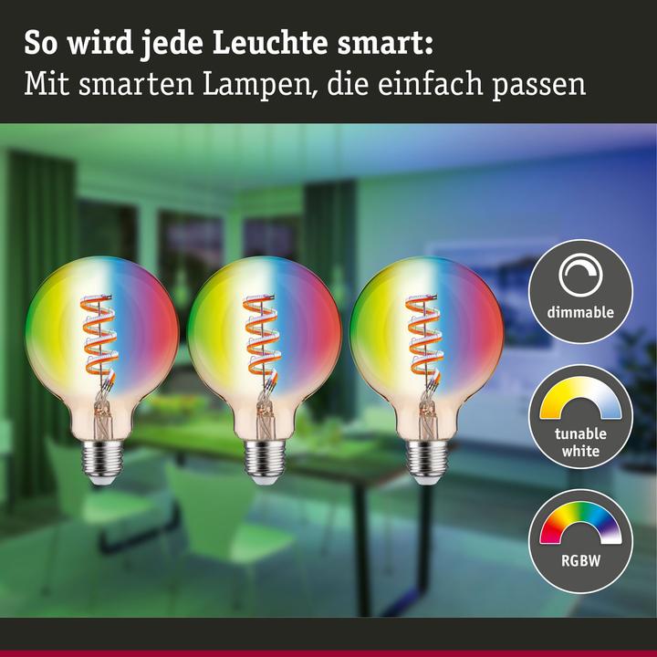 Immagine prodotto Paulmann Filamento Globe Zigbee (E27, 470 lm, 1x)