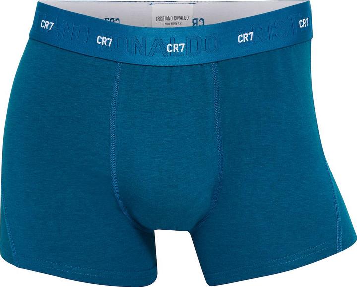 Produktbild CR7 Trunk Bamboo (XL, 3er Pack)