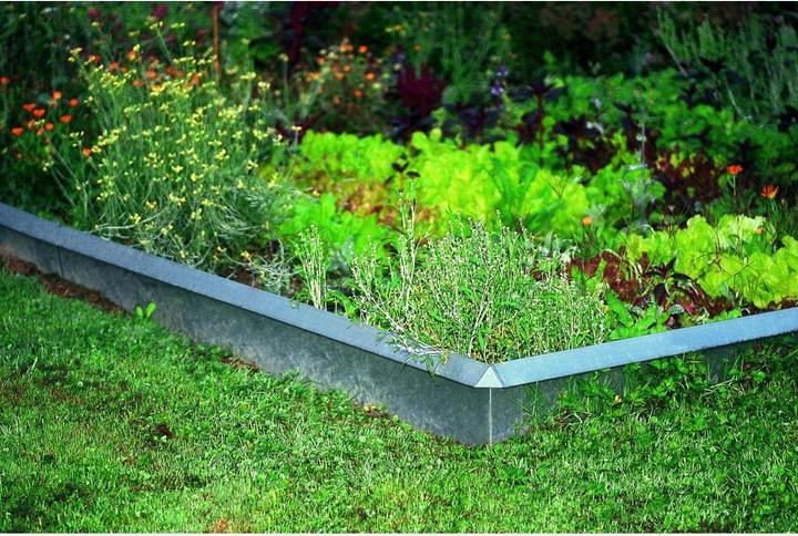 Produktbild Colibri Stahl-Schneckenschutz (100 cm)