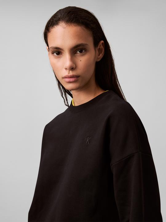 Produktbild Calvin Klein Jeans Ls Archive Logo French Terry Rlx (S)