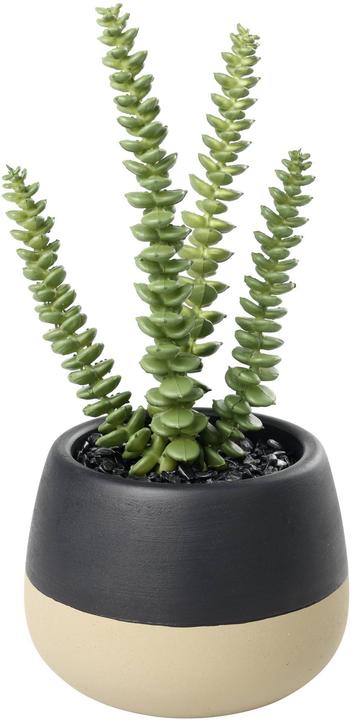 Immagine prodotto EGLO Kunstpflanze 20cm (20 cm)