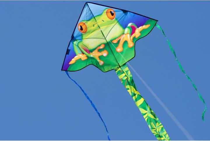 Immagine prodotto Invento Aquilone per bambini Simple Flyer Froggy