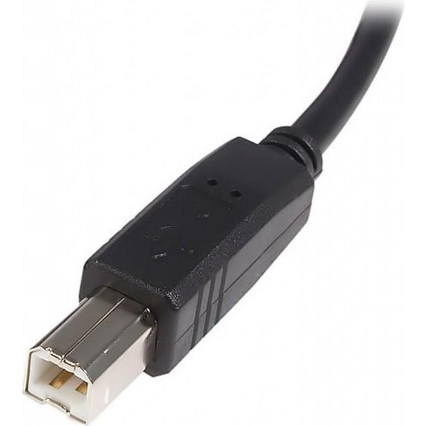 Thumbnail - StarTech USB A—Usb B (2 m, USB 2.0), USB Kabel