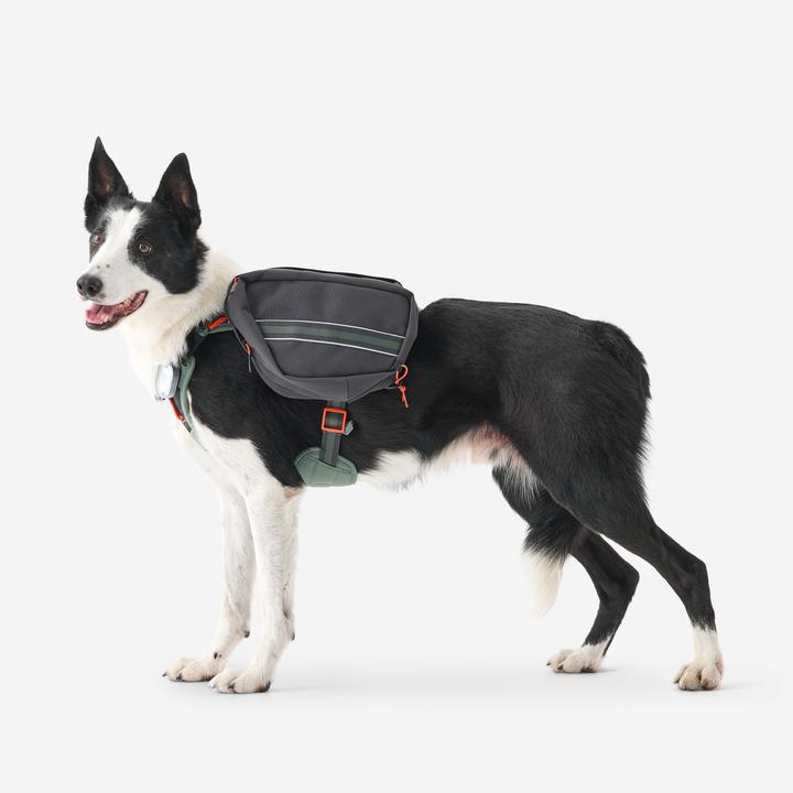 Produktbild Caperlan Hundegeschirr Wandern (S, Hund)
