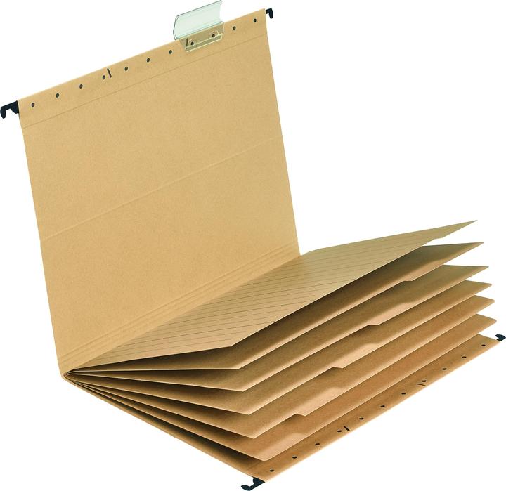 Actual product image Falken Personal folder UniReg DIN A4 230g/m² with organisation print Kraft cardboard natural brown (A4, 20x)