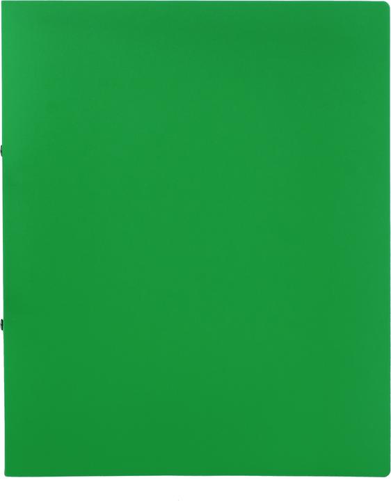 Actual product image Idena Ring binder A4 PP green 20mm 2 rings (A4, 20 mm, 1 Piece)