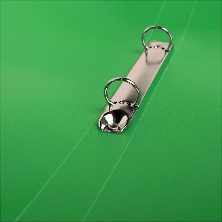 Immagine prodotto Idena Raccoglitore ad anelli A4 PP verde 20mm 2 anelli (A4, 20 mm, 1 x)