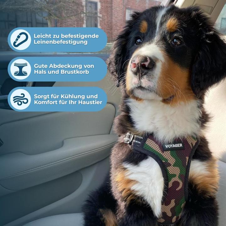 Immagine prodotto Voyager Verstellbares Hundegeschirr mit Reflektorstreifen (S, Cane)