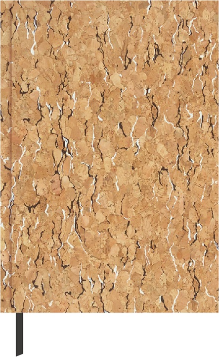 Produktbild Idena Agenda A5 2023 Kork FSC-Mix (A5, Deutsch)