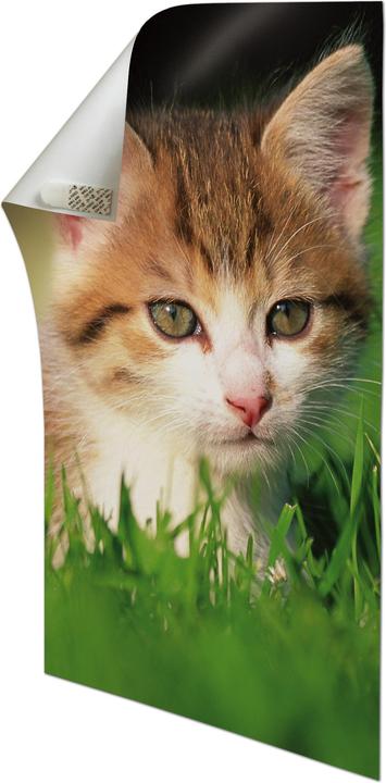 Produktbild Command Poster Strips