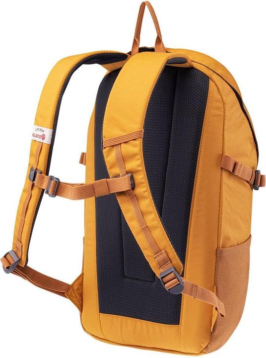 Actual product image Iguana Lukes Backpack (19 l)