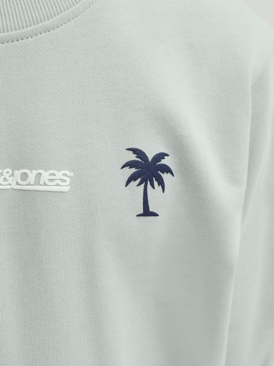 Produktbild Jack & Jones Junior Pullover CLUB SUMMER Sweatshirt (152)