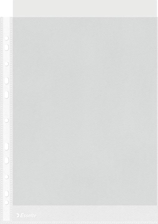 Produktbild Leitz Prospekthuelle A4 oben offen Prospekthlle Esselte, A4, oben offen, PP Folie, genarbt (A4, 1 x)