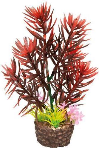 Produktbild Hobby Flora Stone 2 (Dekoration, Pflanzen)