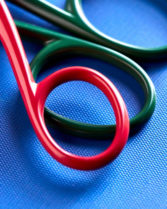 Actual product image House Doctor Scissors, HDScissors, RedGreen (23 cm)