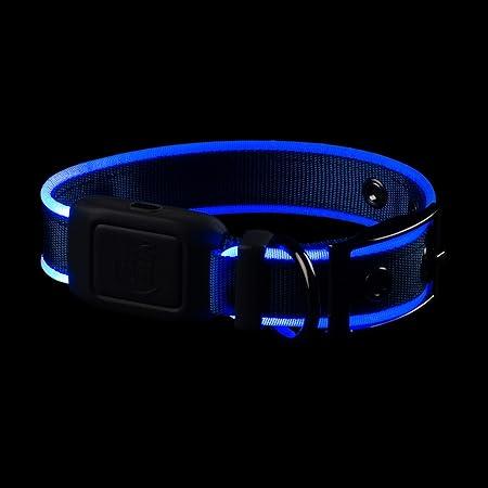 Produktbild Nite Ize NiteDog™ Rechargeable LED Collar S (Hund, Allgemein)