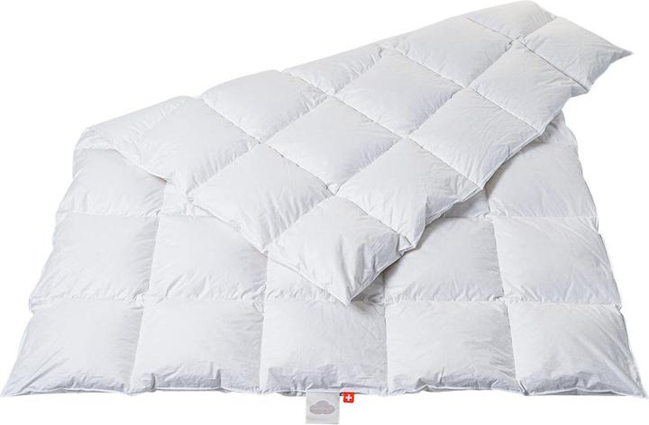 Actual product image Duvetsuisse Medium Goose Classic (880 g, 240 x 210 cm)