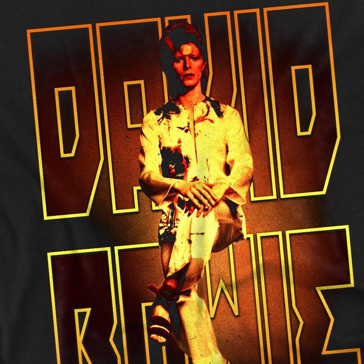 Produktbild David Bowie Perched TShirt (XL)