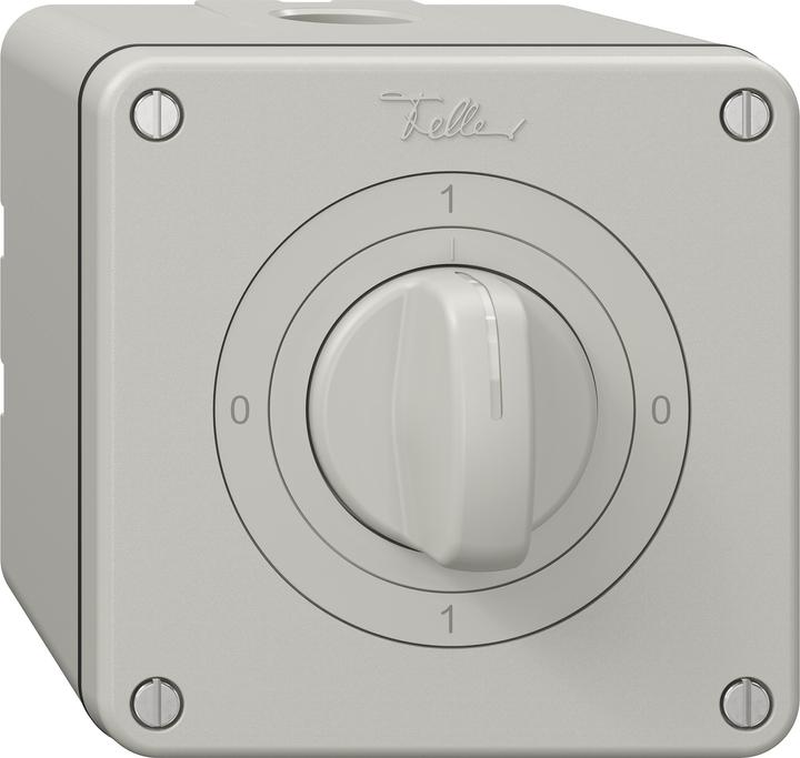 Actual product image Feller Circuit breaker 2-pole
