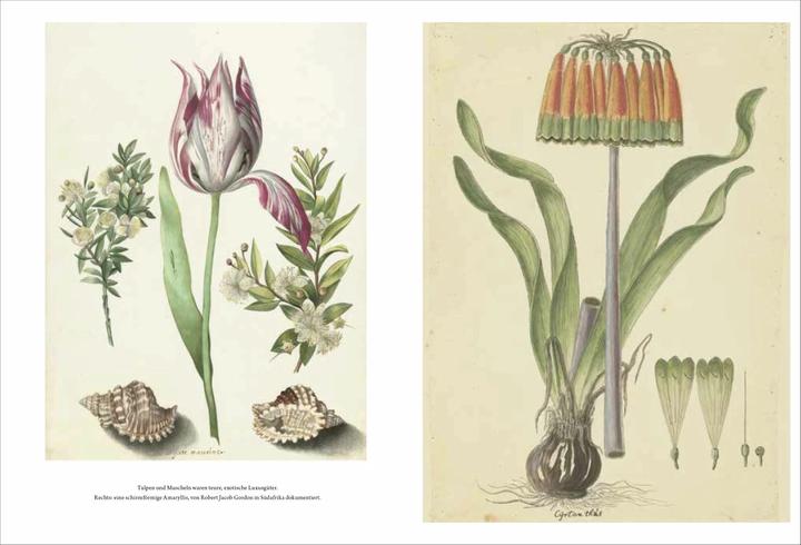 Produktbild Wunderkammer (Deutsch, Thijs Demeulemeester, 2018)