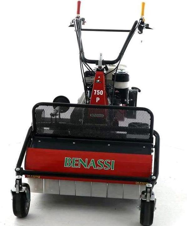 Actual product image Benassi T750P Professional hammer lawn mower Honda GX390