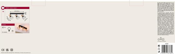 Produktbild Paulmann Spotlight Lanka (E14)