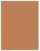 Actual product image Sensai Luminous Sheer Foundation (LS204 - Honey Beige)