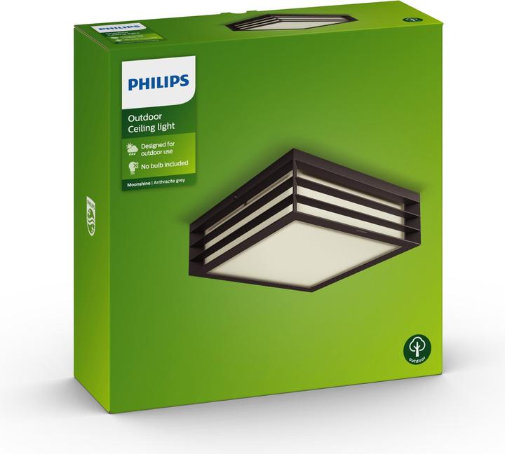 Immagine prodotto Philips Moonshine (2480 lm, E27, IP44)