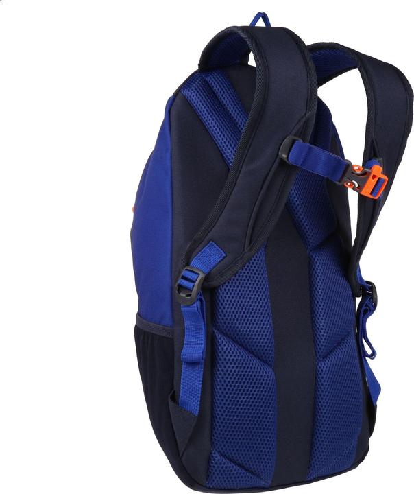 Actual product image Regatta Ridgetrek 20L Backpack (20 l)