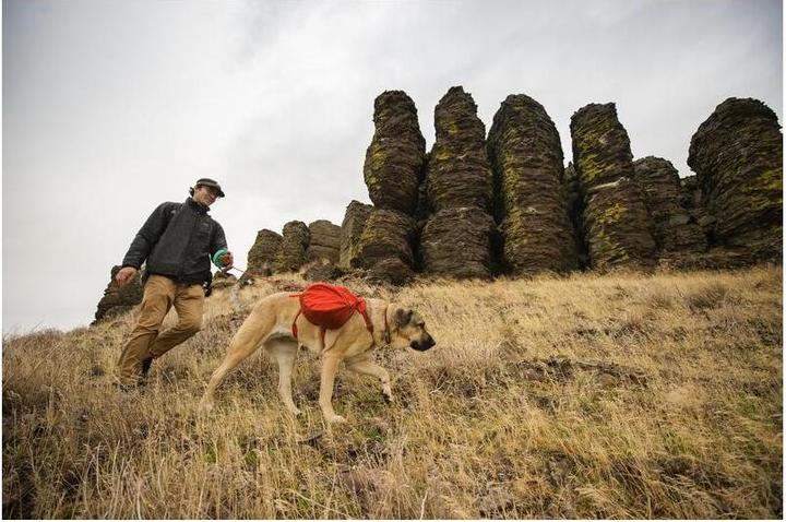 Produktbild Ruffwear Palisades Pack (S, Hund)