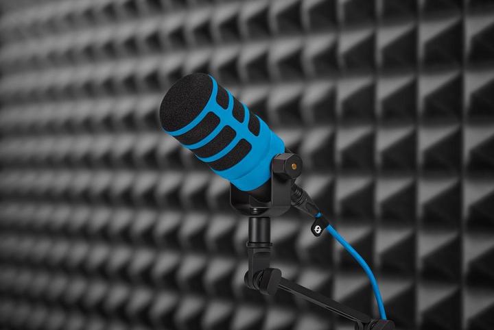 Actual product image RØDE WS14