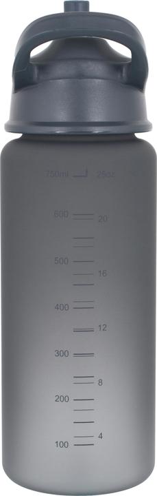 Lifeventure Flip-Top Water Bottle, Grey (0.75 l)