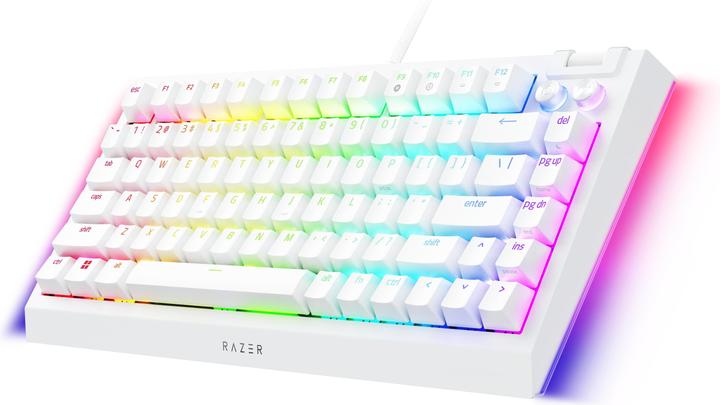 Image du produit Razer BlackWidow V4 75% (US, Filaire)
