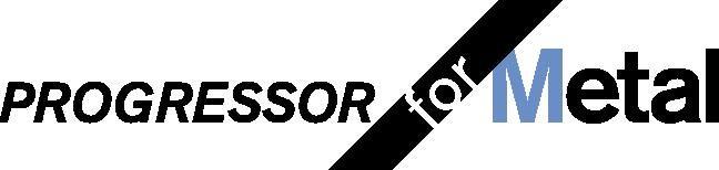 Actual product image Bosch Zubehör Stichsägeblatt HSS