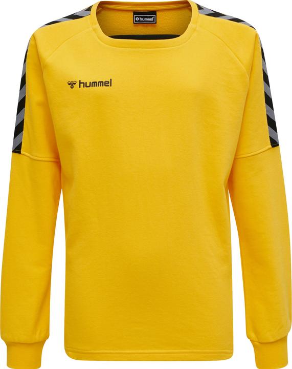 Actual product image hummel Authentic Kids Training Sweat (116)
