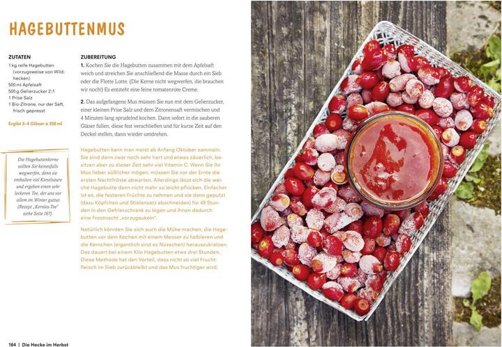 Produktbild Heimat im Glas (Deutsch, Daniela Wattenbach, 2018)
