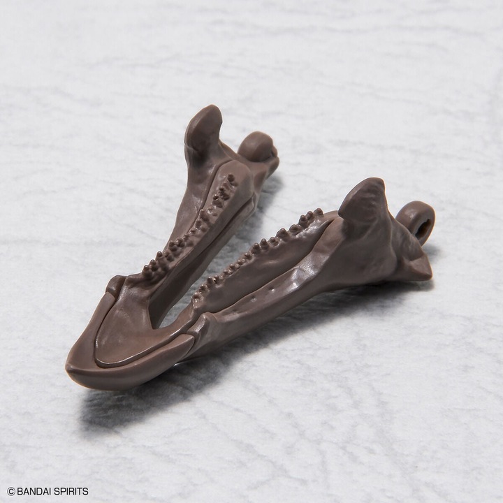 Produktbild Bandai Imaginäres Skelett 1/32 Triceratops