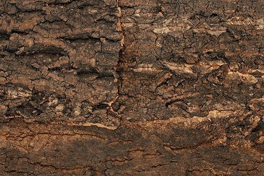 Actual product image Repti Planet Cork back wall 19 x 17.3 x 2 cm